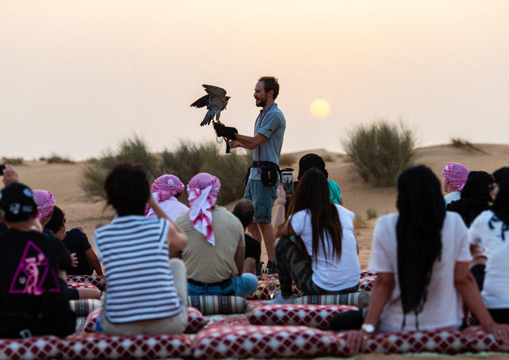 Falconry Experiences in Dubai